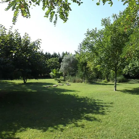 L'orgaliere Alpilles Holiday home *