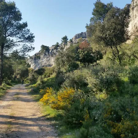 L'orgaliere Alpilles * Orgon